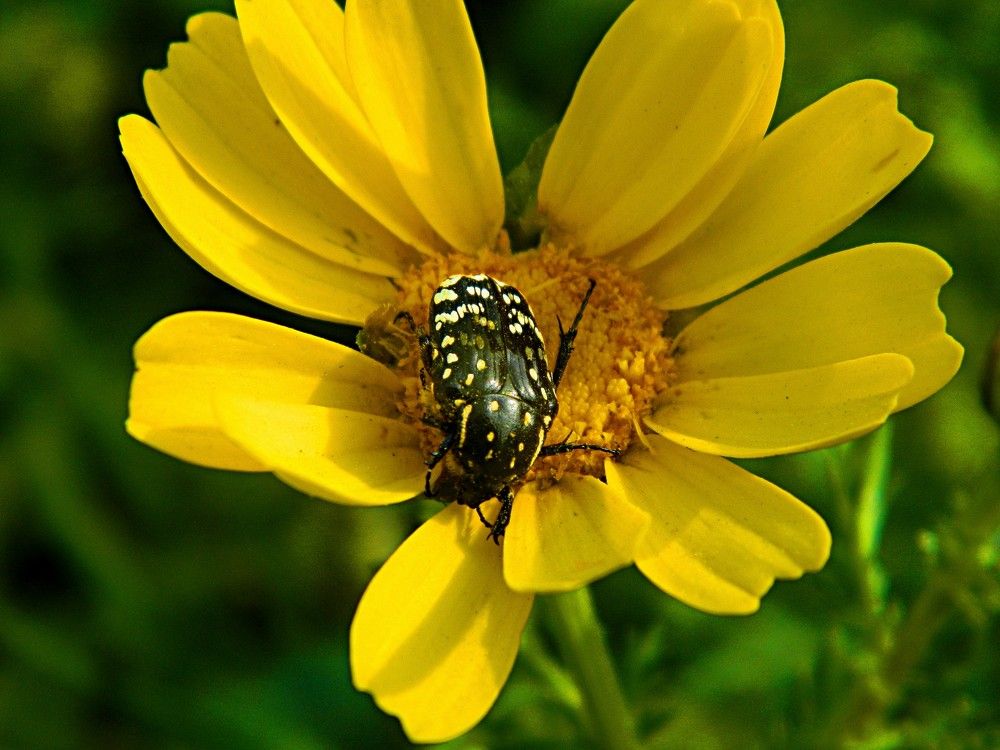 Photograph by Сергей Рапопорт