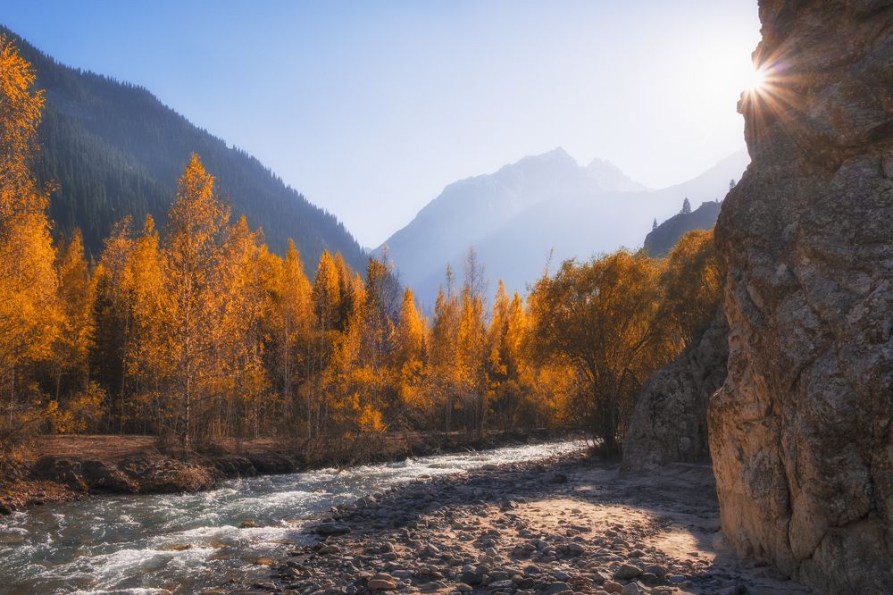 Photograph by Светлана Краюшкина