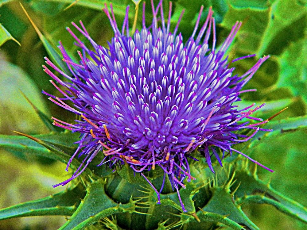 Photograph by Сергей Рапопорт