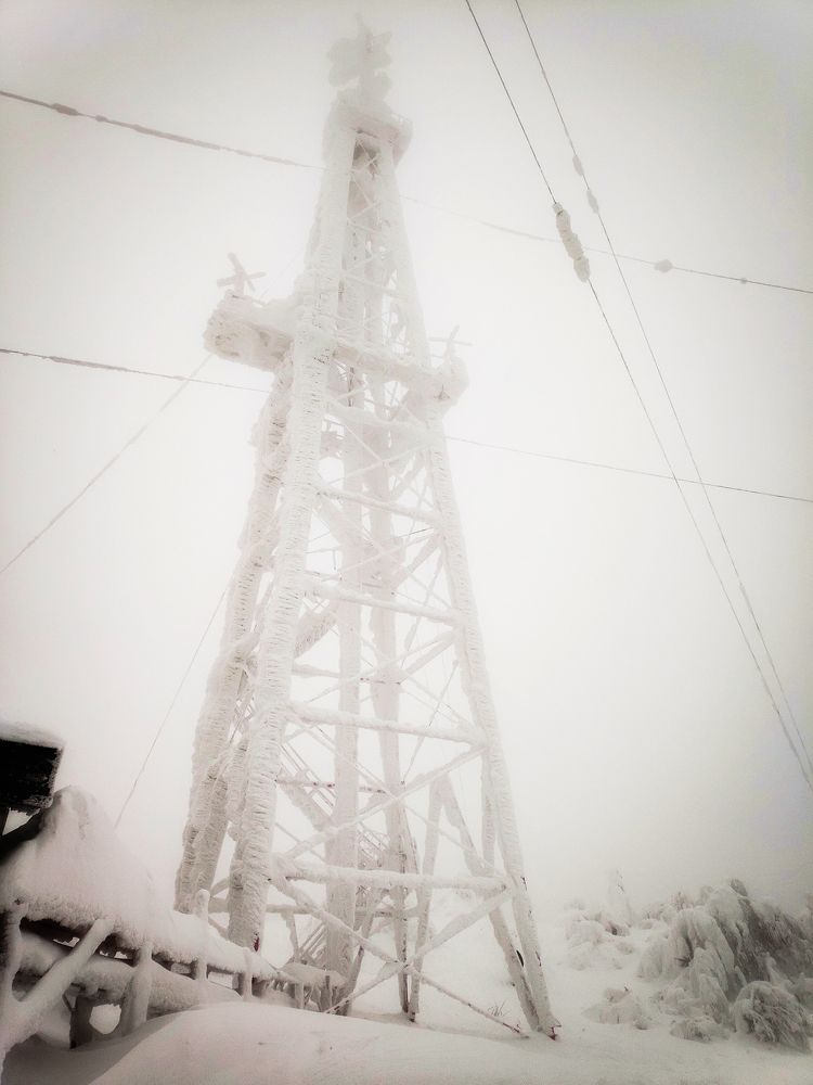Photo #9605078