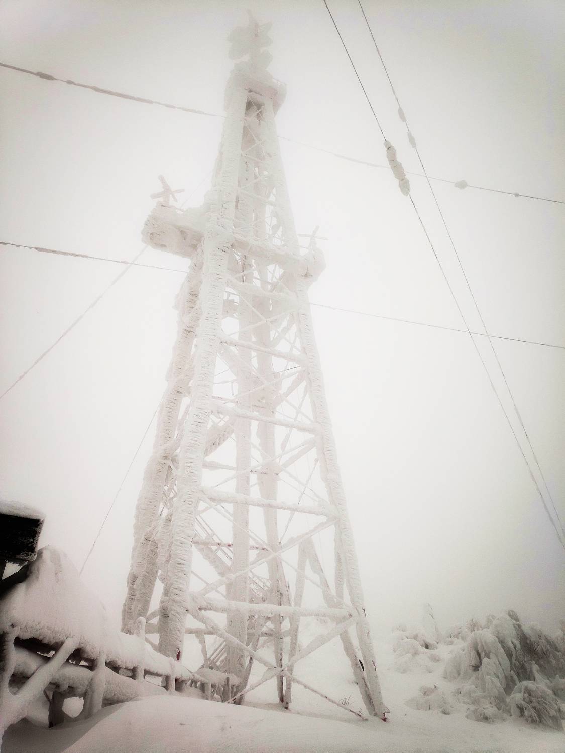 Photo #9605078