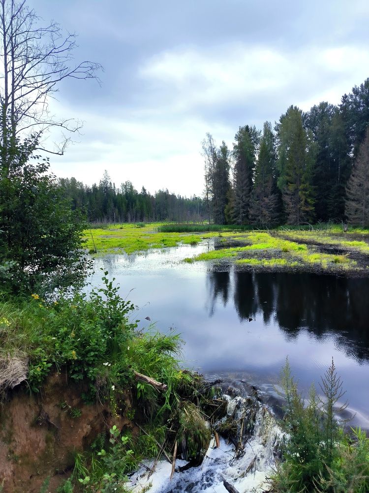 Photograph by AndreY SivkoV