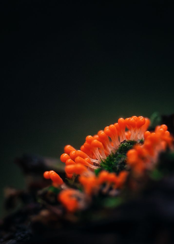 Photograph by Загруев Михаил