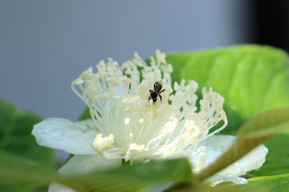 Photograph by Dimuth De Zoysa