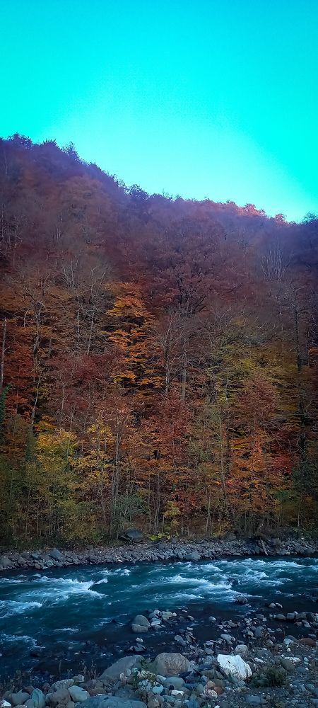 Фотография автора Анастасия Владимирова