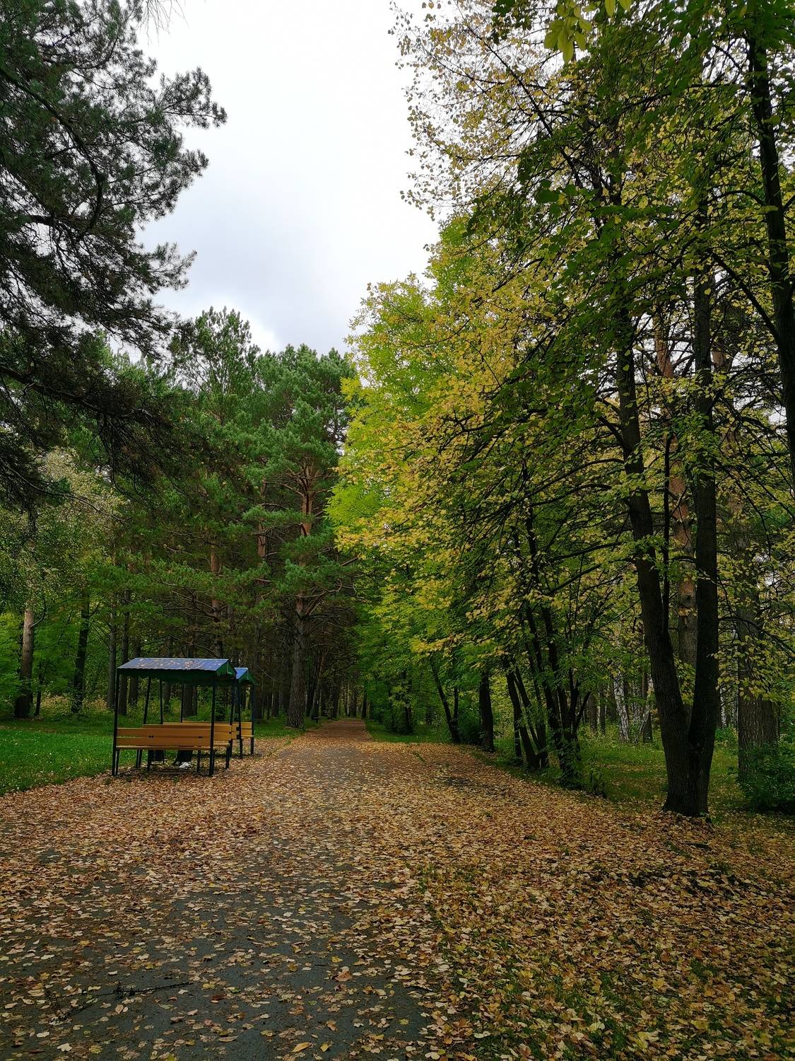 Photo #9605182