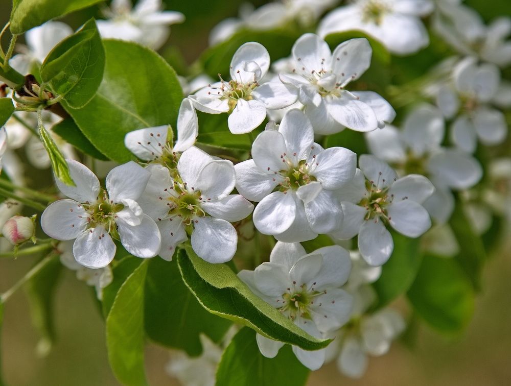 Photograph by Алексей Хазов