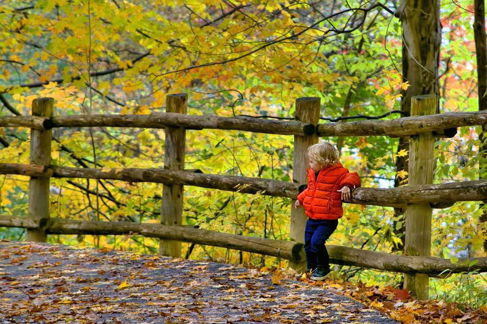 Photograph by A. G. Bisschop