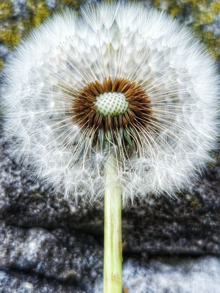 Photograph by 