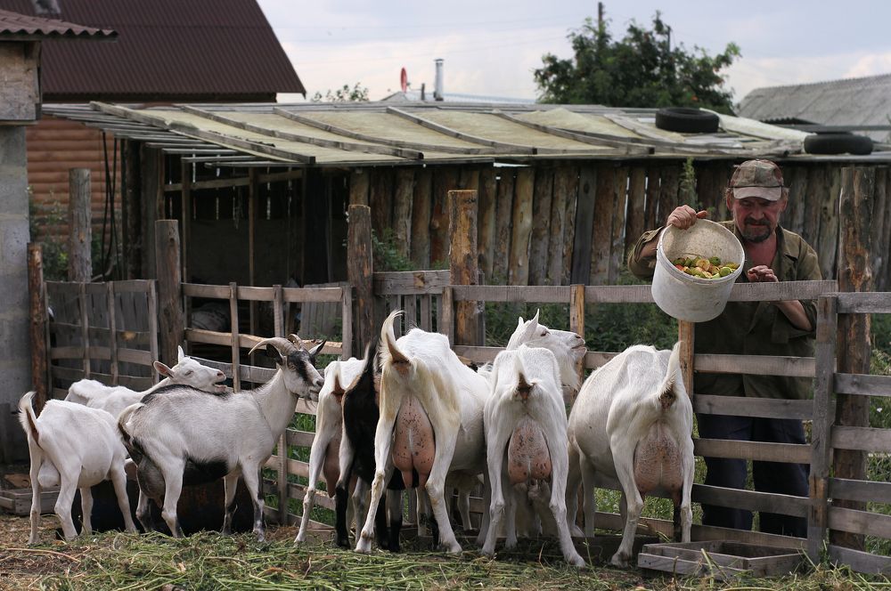 Photograph by Полина Ефимова