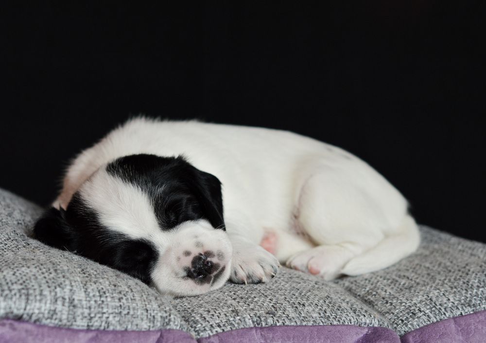 Photograph by Елена Квасова