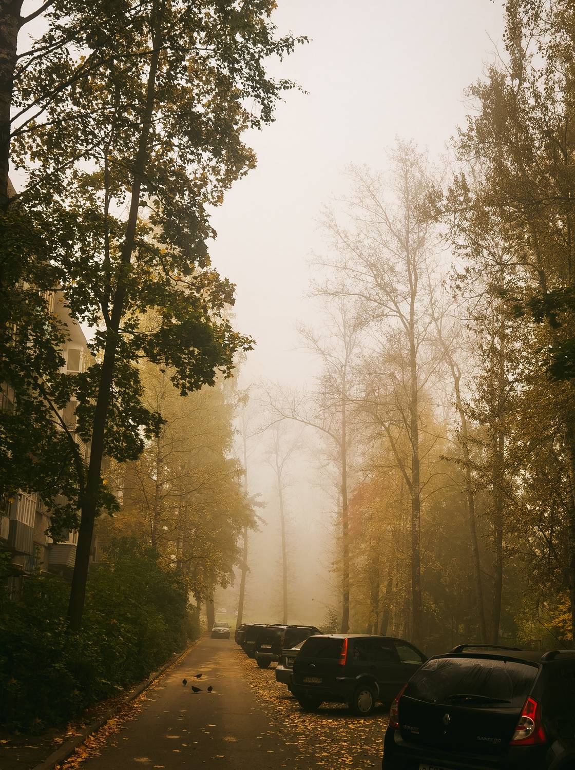 Photo #9605285