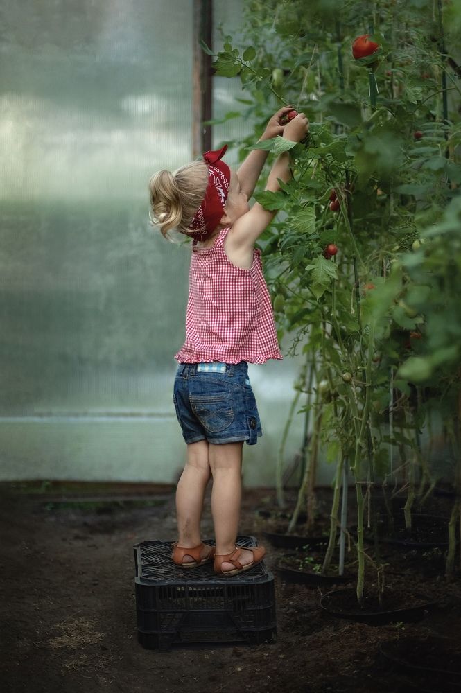 Photograph by Julija Novikova