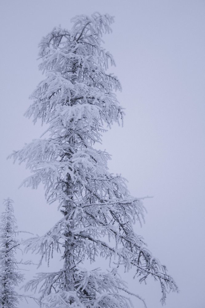 Photograph by Юлия Тетерина