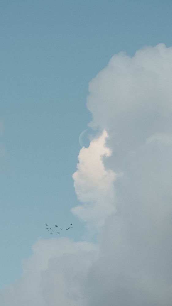 Photograph by Mazen Abdennadher