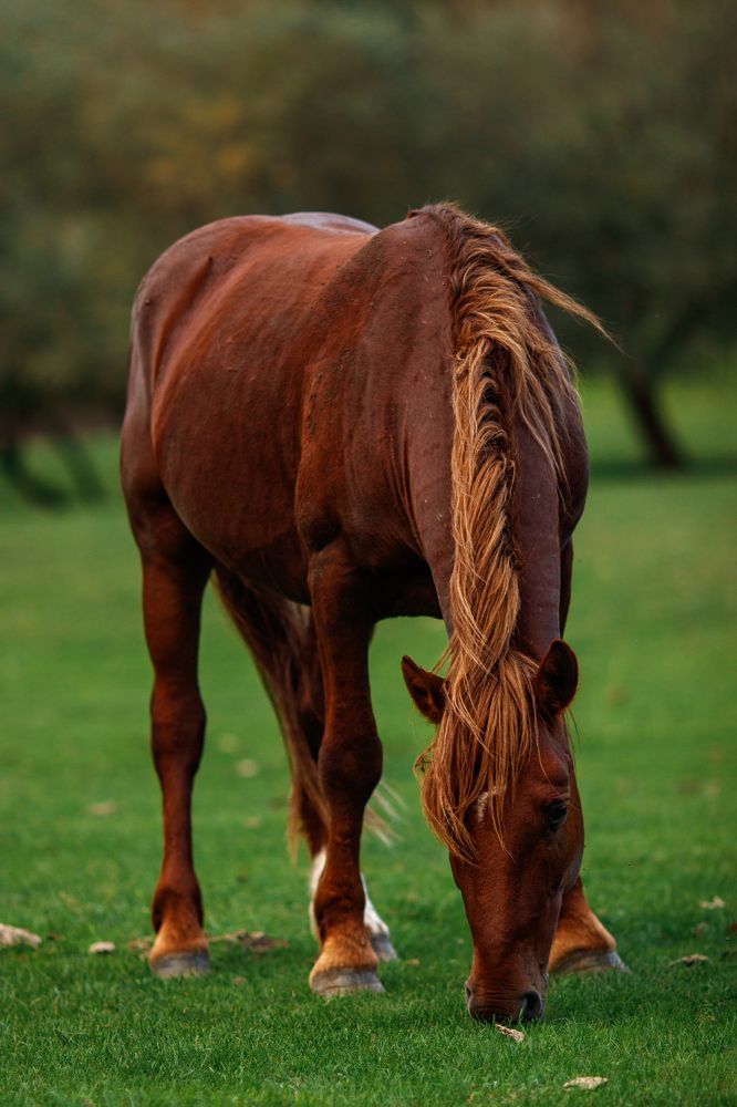 Photograph by Vyacheslav Bolyakin