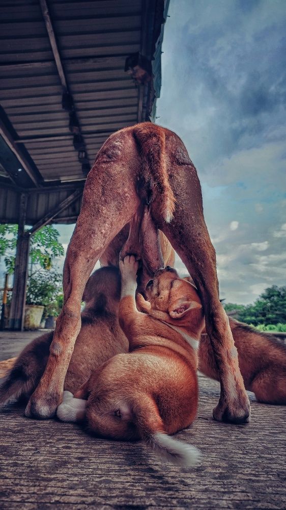 Photograph by Min Htet