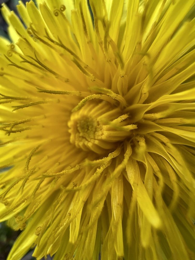 Photograph by Харламова Алина