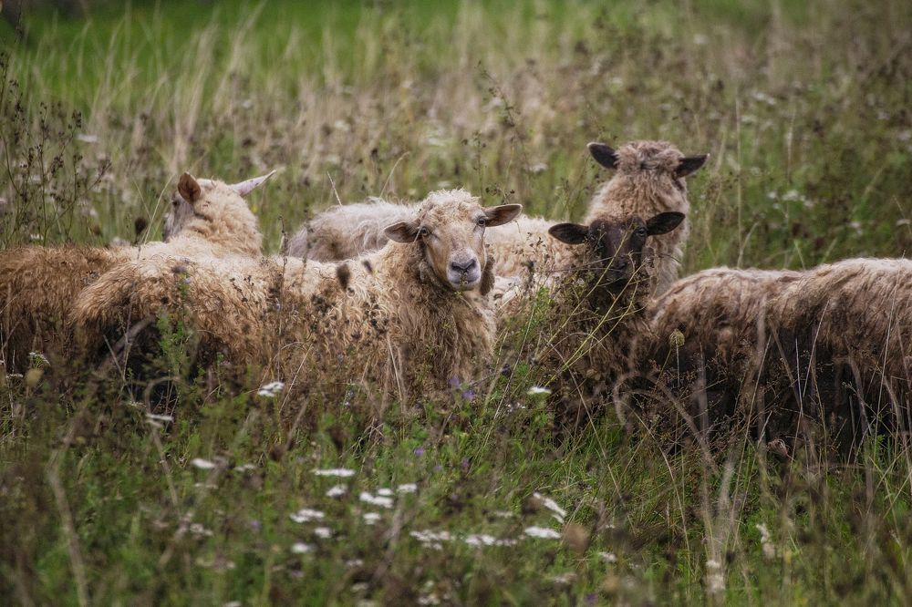 Photograph by Leanid Kulpo