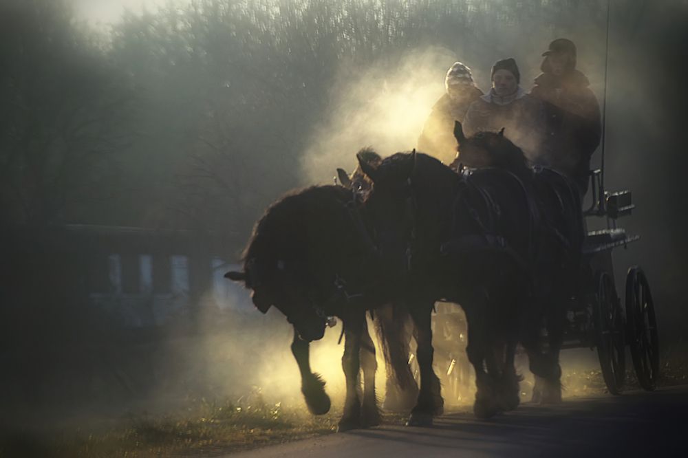 Фотография автора Martineb