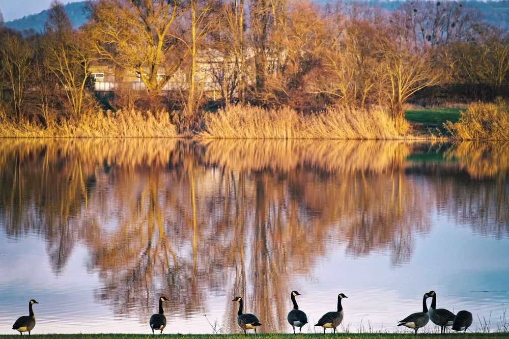cancanage sur la plage