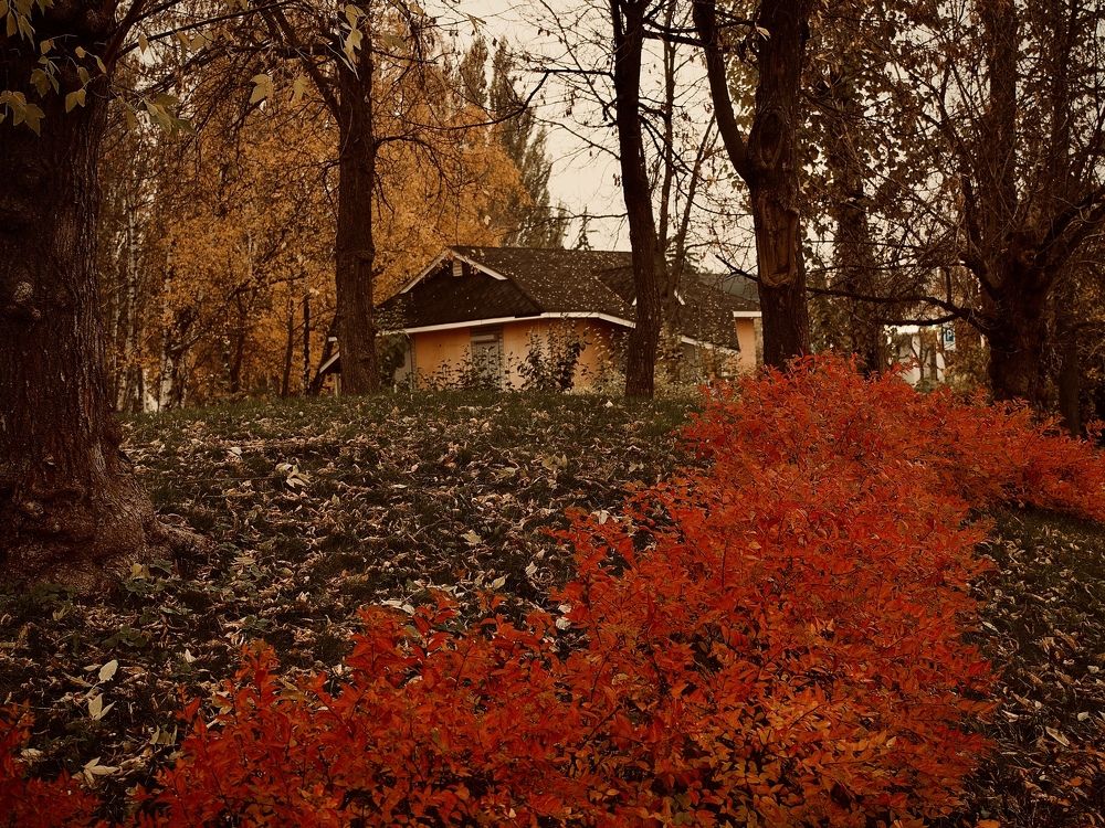 Photograph by Светлана Георкова