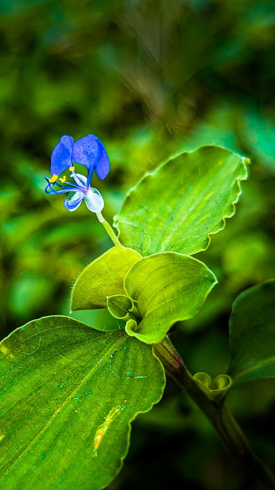 Photograph by Tanmay Mondal