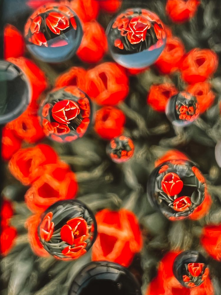 Photograph by Vialeta