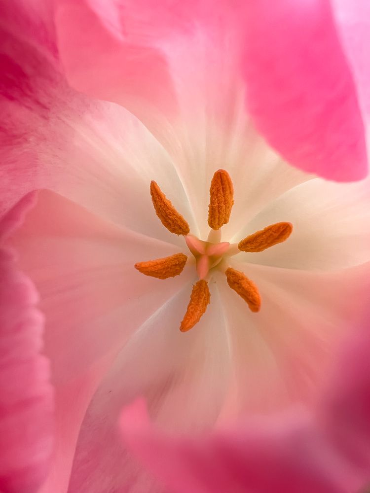 Photograph by Vialeta