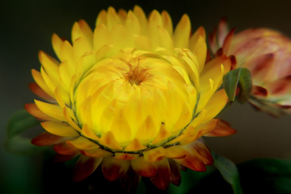 Photograph by Людмила Савчук