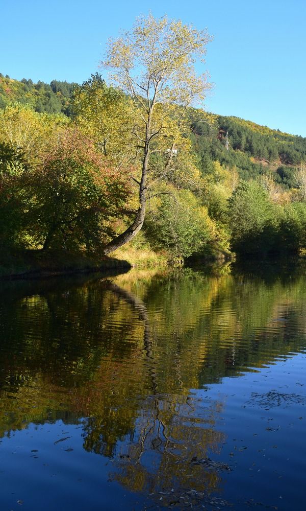 Багрите на есента