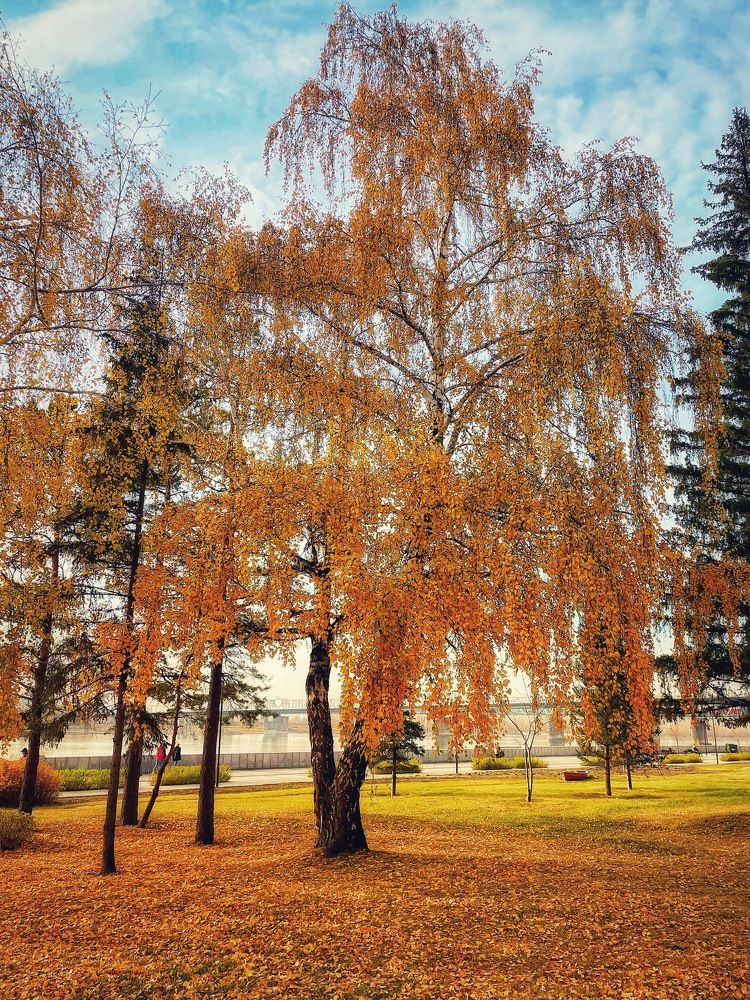 Фотография автора Nadezhda