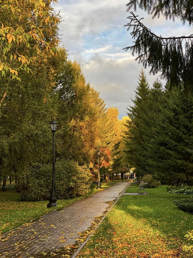 Фотография автора Nadezhda