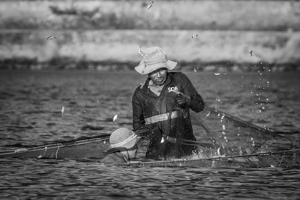 Фотография автора Pham Anh Vu