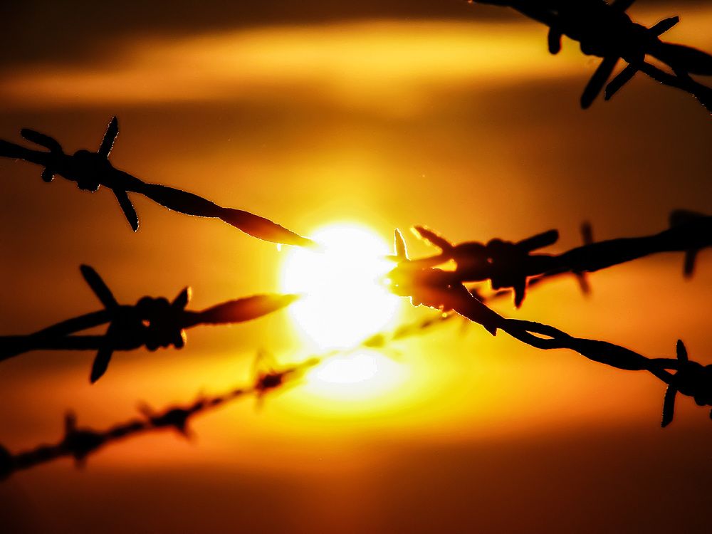 Photograph by Андрюс Рачис