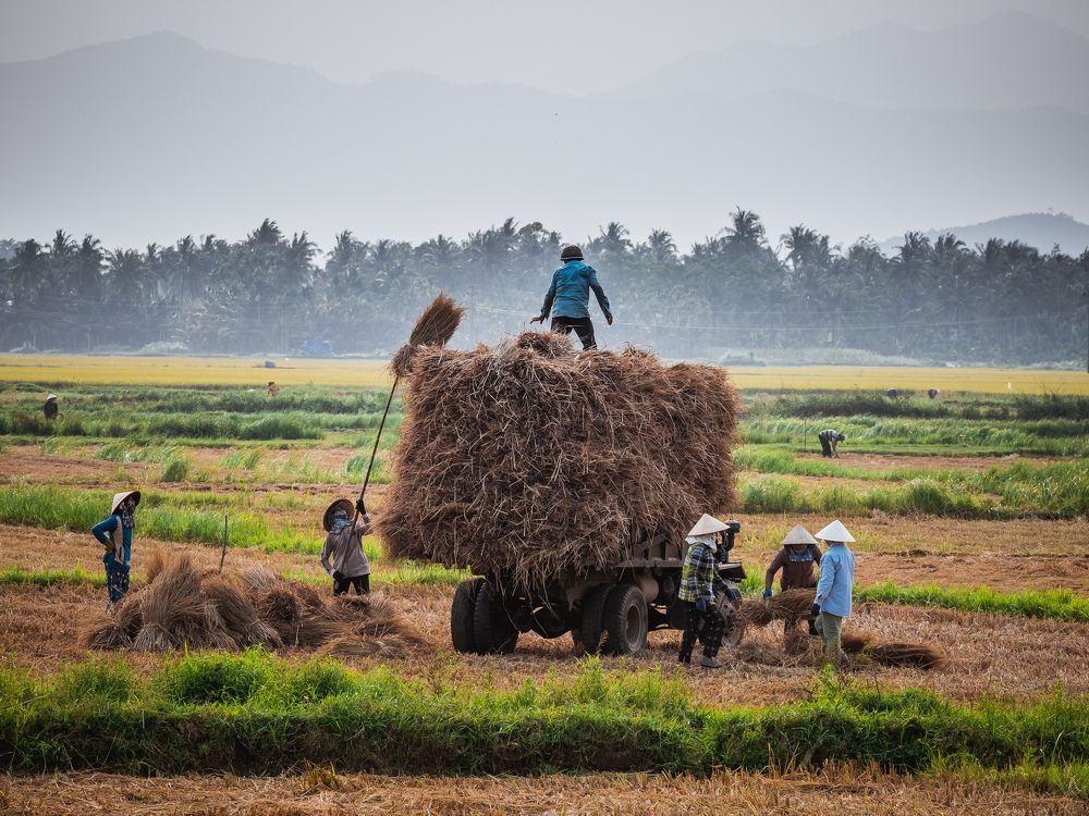 Photograph by Pham Anh Vu