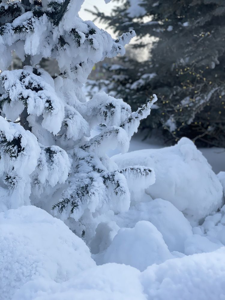 Фотография автора Nadezhda