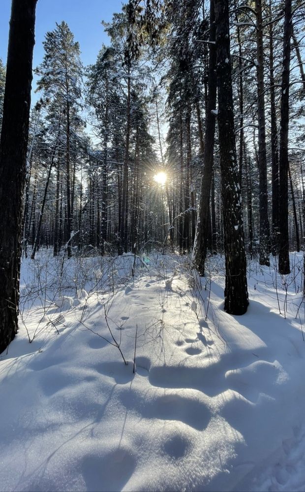 Фотография автора Nadezhda