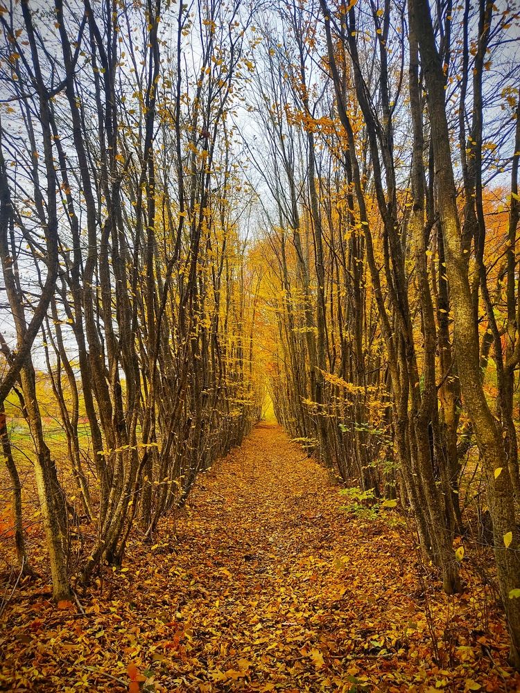 Photograph by Александра