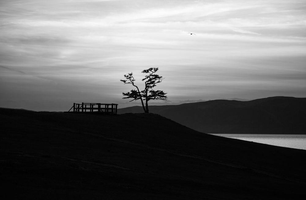 Photograph by Юлия Михайлова