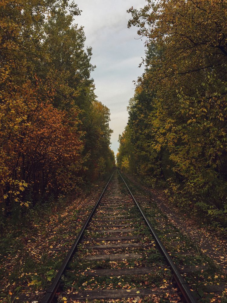 Фотография автора Анастасия Владимирова