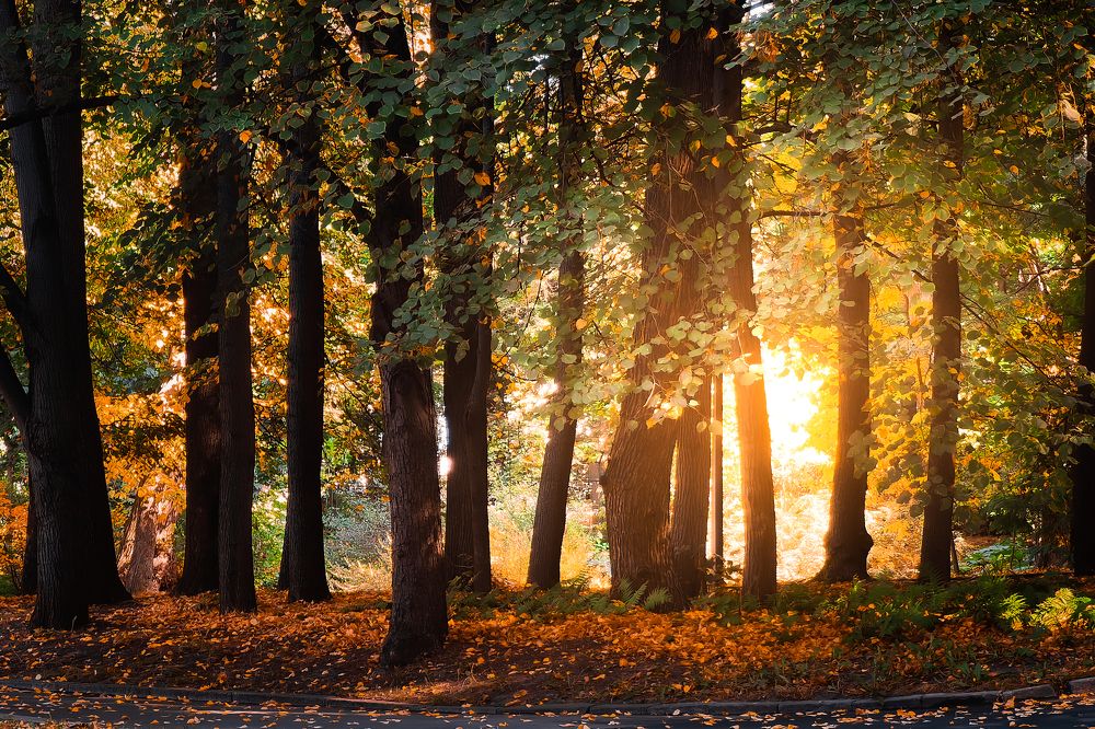 Photograph by Алексей Еремеев