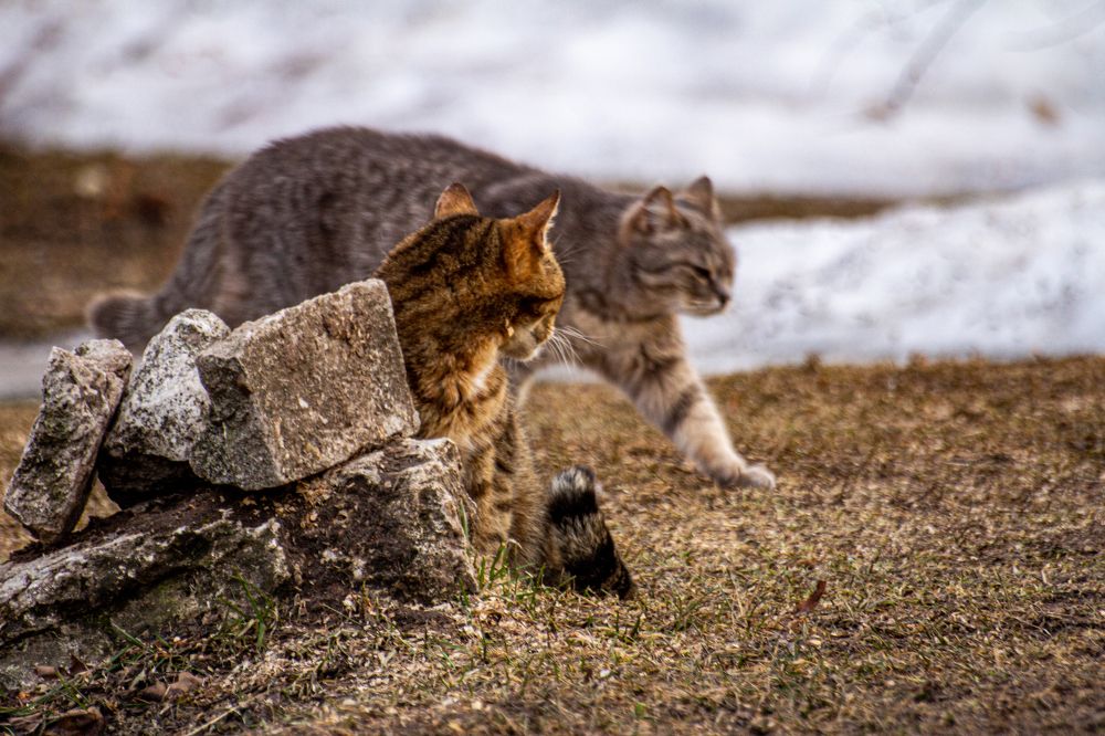 Photograph by Алексей