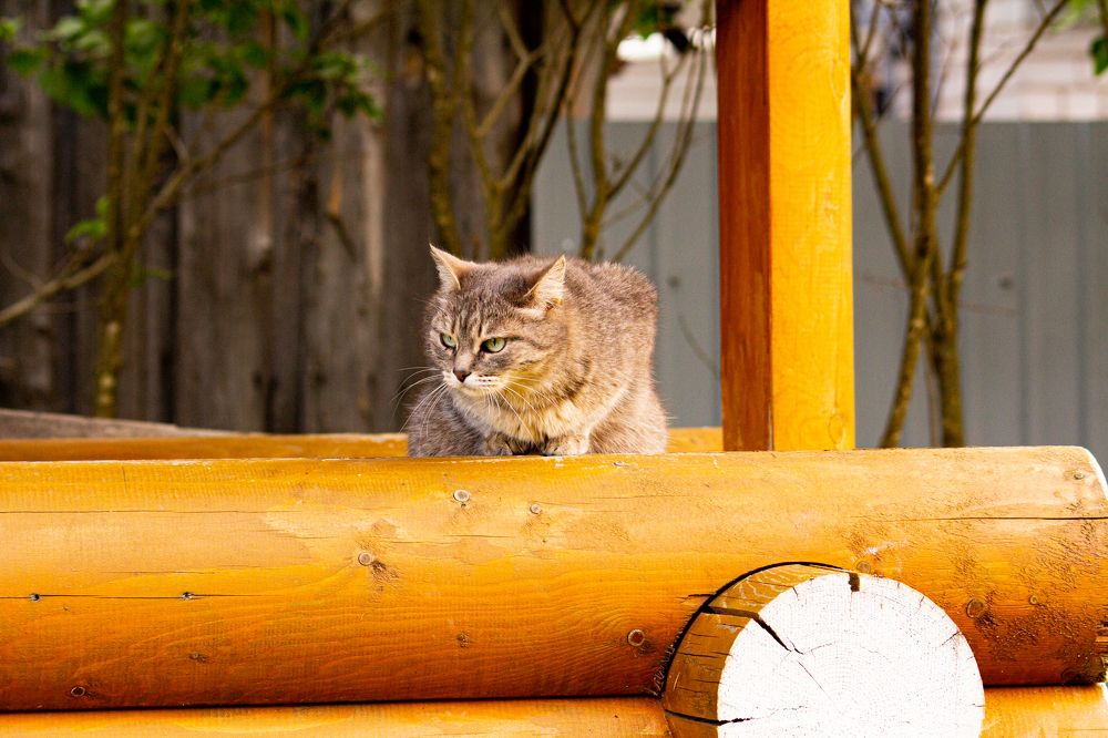 Photograph by Алексей