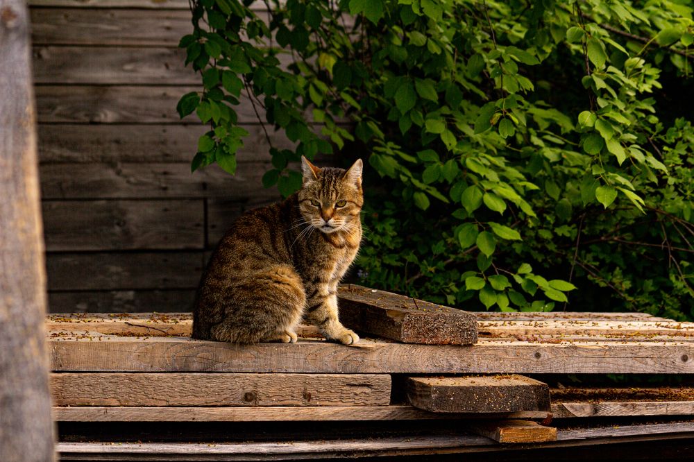 Photograph by Алексей