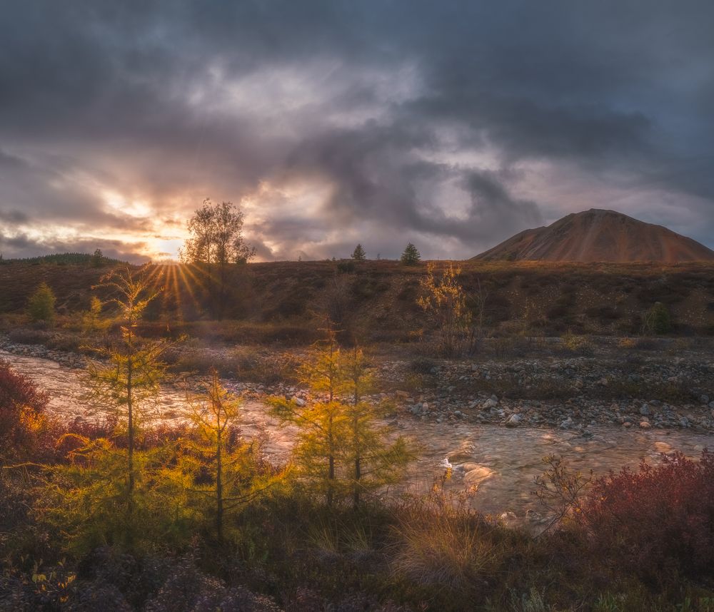 Photograph by Полякова Наталия