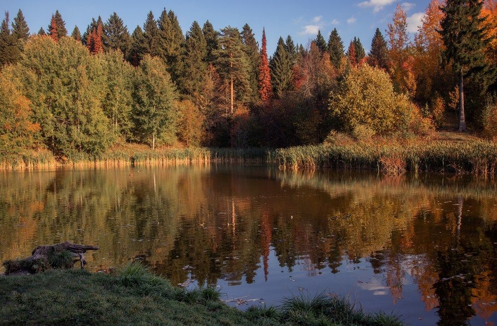 Photograph by Катерина Дементьева