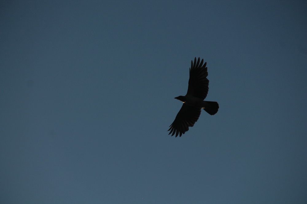 Photograph by Татьяна Долгушева