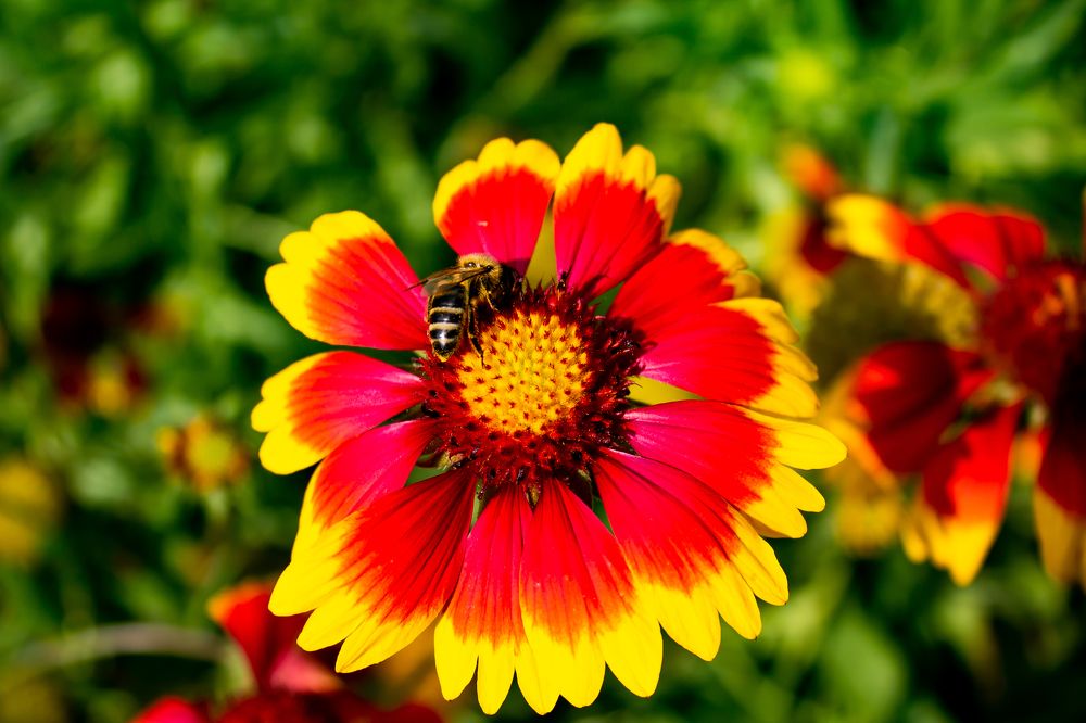 Photograph by Алексей