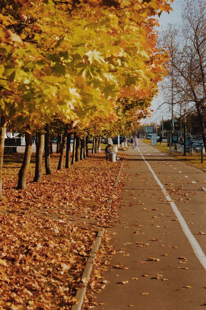 Photograph by Сергей Бойко